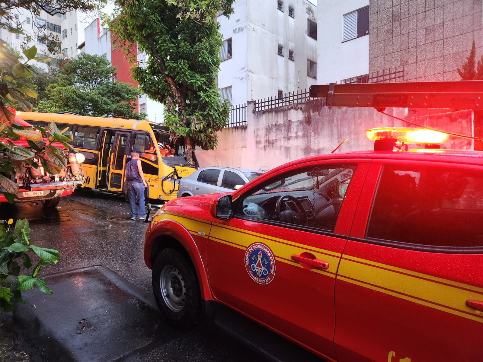 Choque de escolar contra árvore