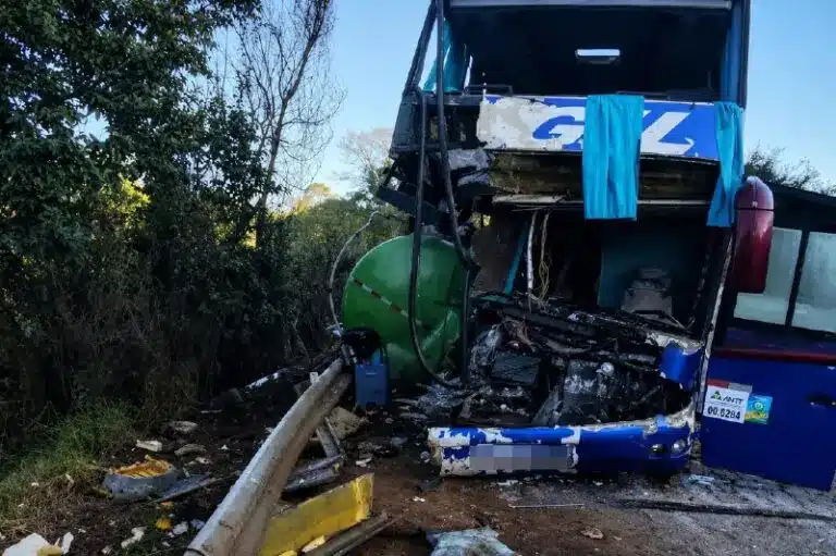 ônibus e caminhão na BR-267